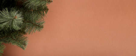 Fir branches on a brown background. Concept for New Years and Christmas Eve. Banner.の写真素材
