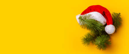 Christmas tree with a Santa Claus hat peeps out of a hole in a yellow background. Concept for New Years and Christmas Eve. Banner.の写真素材