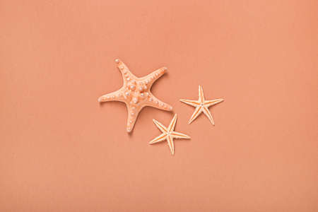 Starfishes on a brown background. Beach and vacation concept. Global warming. Banner. Flat lay, top view.の写真素材