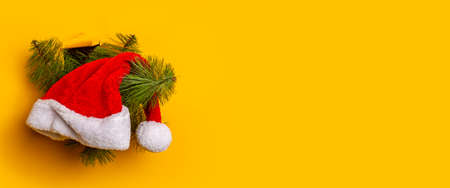 Christmas tree with a Santa Claus hat peeps out of a hole in a yellow background. Concept for New Years and Christmas Eve. Banner.の写真素材