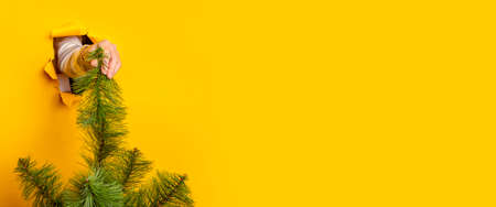 Hand holds a Christmas tree on a yellow background. Concept for New Years and Christmas Eve. Banner.の写真素材