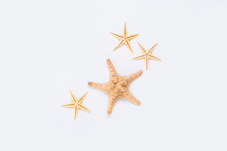 Beautiful starfish on a white background. Top view, flat lay.の写真素材