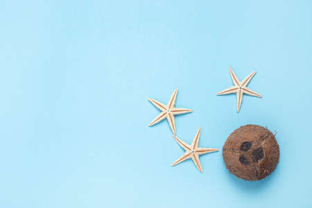 Coconut and starfishes on a blue background. Top view, flat layの写真素材