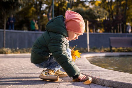 Child girl in a hat raises yellow leaves in the parkの写真素材