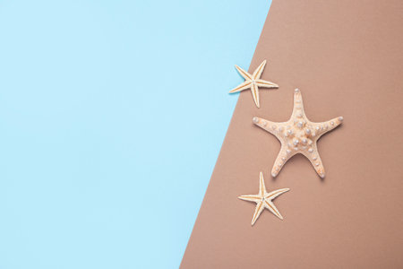 Starfishes on a brown-blue background. Top view, flat layの写真素材