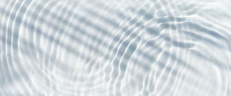 Shadow of palm leaf on transparent water and drops of water falling. Top view, flat lay. Banner.の写真素材