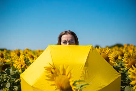 Young woman with glasses peeking out from behind a yellow umbrella on a sunflower field.の写真素材