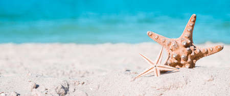 Beautiful starfishes on a sandy beach. vacation, travel concept. Banner.の写真素材