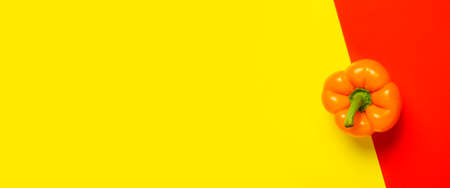 One orange pepper on a yellow-red background. Top view, flat lay. Banner.の写真素材