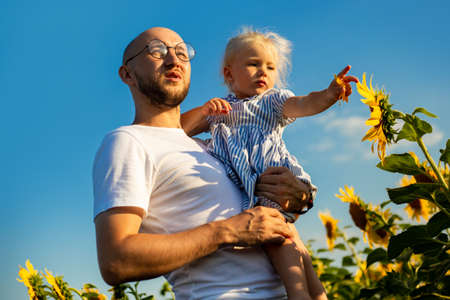 Young man in glasses holds a child in his arms and looks at the flowers of a sunflower on a sunflower field.の写真素材