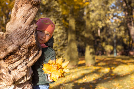 Child girl with a bouquet of leaves hides behind a tree in the parkの写真素材