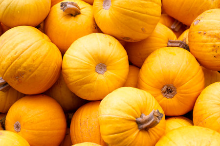 Lots of whole yellow-orange pumpkins. Top view, flat lay.