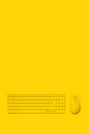 Yellow keyboard and yellow computer mouse on a yellow background. Top view, flat lay.の写真素材