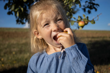Girl blonde child eats an apple plucked from a tree in the garden.の写真素材