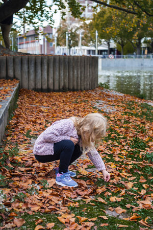 Girl child collects yellow leaves near the lake in the park.の写真素材