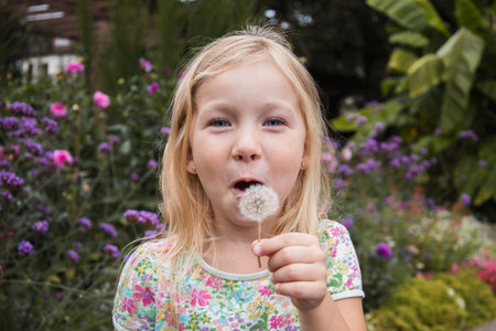 Child girl blowing a dandelion holding in her hand in the park.