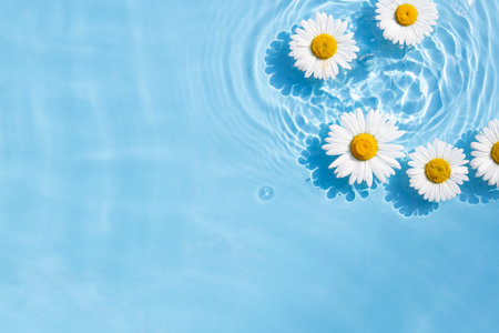Chamomile flowers floating on the water. Top view, flat lay.の写真素材