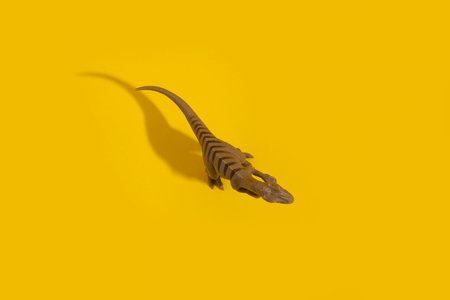 Plastic toy dinosaur on a yellow background. Top view, flat lay.の写真素材
