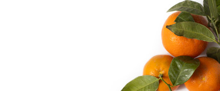 Fresh tangerines on a white background. Top view, flat lay. Banner.の写真素材