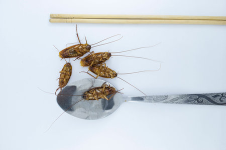 The dead cockroaches in a spoon on a white background.