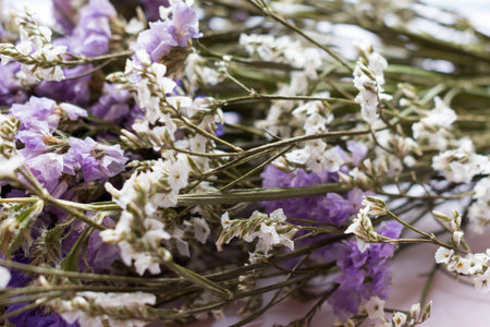 Bouquet of dried statice flowersの写真素材