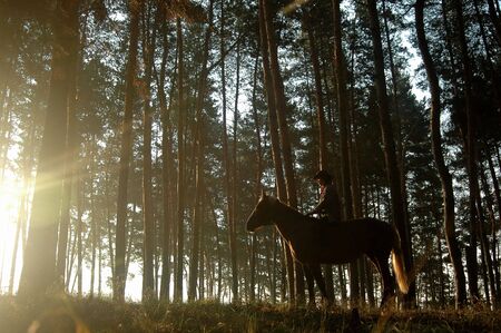 Cowboy with a horseの写真素材