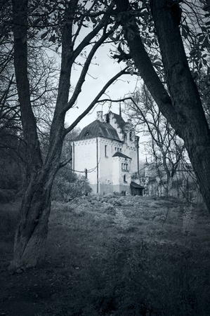 castle の写真素材