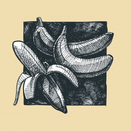 Icon of banana illustration stylized as engraving.のイラスト素材