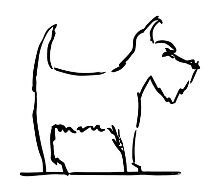 illustration of  terrier dog. hand drawn. Vector illustration.のイラスト素材