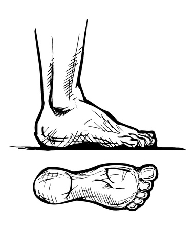 human bare footprints and leg in ink hand drawn style.のイラスト素材