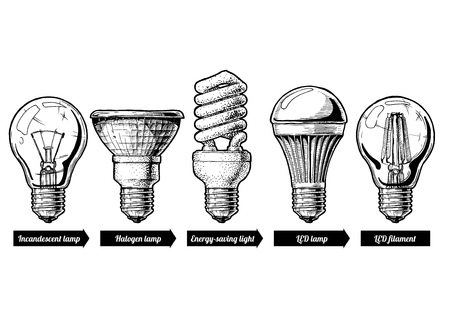 Hand drawn illustration of the light bulb evolution set. incandescent light bulb, tungsten halogen, Energy-saving light, LED lamp and light-emitting diode filament. Isolated on white background.のイラスト素材