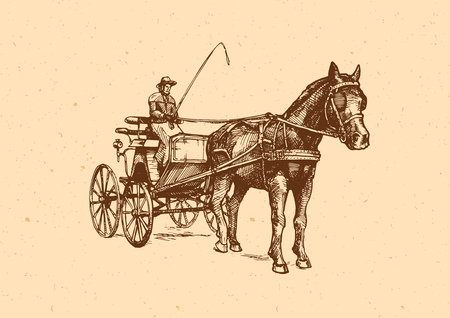 Vector illustration of spider phaeton. Open sporty carriage drawn by one horse.のイラスト素材