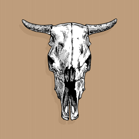 A Vector illustration of bull skull stylized as engraving on kraft paper background. Full faceのイラスト素材