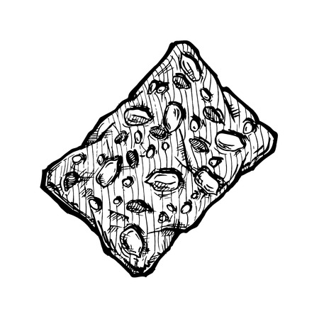Hand drawn Illustration of tasty cookie in vintage engraved style. isolated on white.のイラスト素材