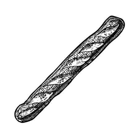 Hand drawn Illustration of baguette, traditional French bread in vintage engraved style. Isolated on white. Top viewのイラスト素材