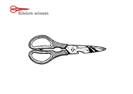 Vector hand drawn illustration of Kitchen scissors with bottle opener and nutcracker in vintage engraved style. Isolated on white background.のイラスト素材