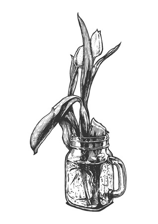 Vector hand drawn illustration of floral composition with tulip in transparent glass jar with handle in vintage engraved style. Isolated on white backgroundのイラスト素材
