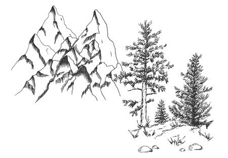 Vector hand drawn illustration of mountains and coniferous trees, pines, firs wild natural landscape in vintage engraved style. Isolated on white background.のイラスト素材