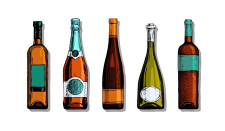 Vector color set of wine and champagne bottles in ink hand drawn style. isolated on white.のイラスト素材