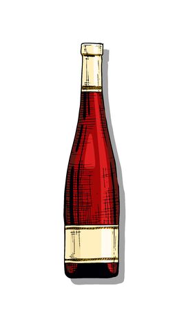 Vector color illustration of wine bottle in ink hand drawn style. isolated on white.のイラスト素材
