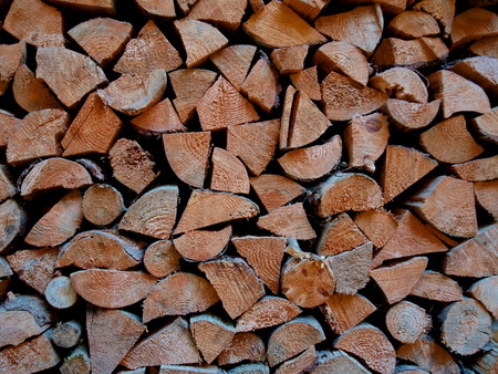 The collected firewood in the autumn for the winterの写真素材