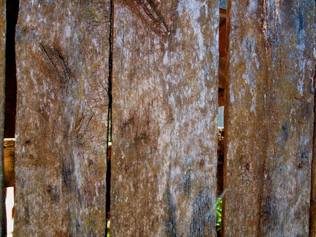 Old doors with spaces for air ventilationの写真素材