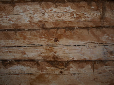 The fragment of the wall of the houseの写真素材