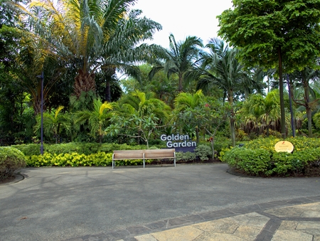 Singapore Park with trees and exotic flowersの写真素材