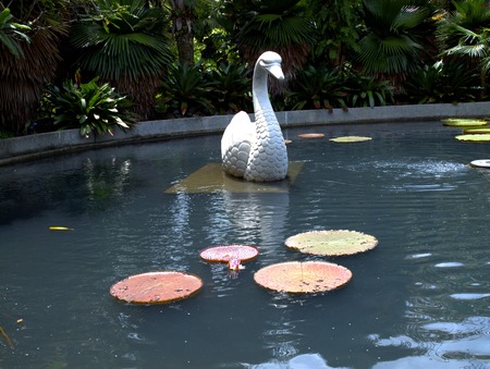 Singapore Park swimming pool with sculptures and leavesの写真素材
