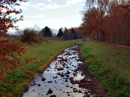 a stream flows with clear water and stonesの写真素材