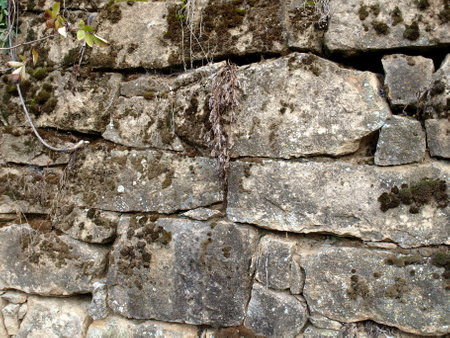 Background of the stone rock texture. Natural masonry without mortar and cementの写真素材