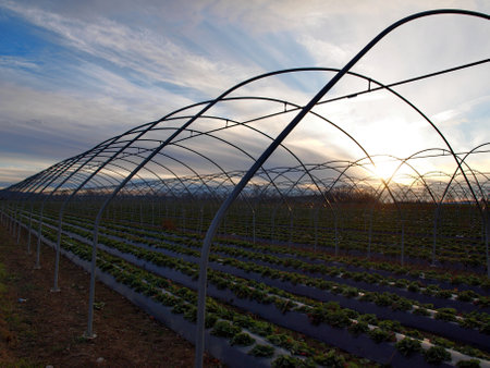 Greenhouse exterior under a sky with nice cloudsの写真素材