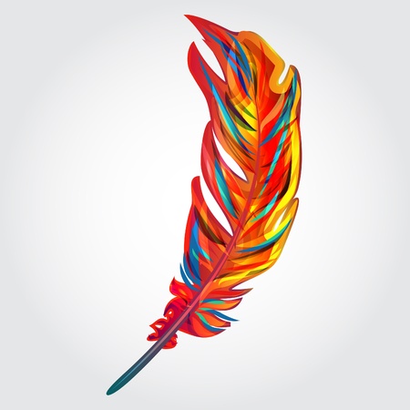 Red parrot feather, vector bright clip artのイラスト素材