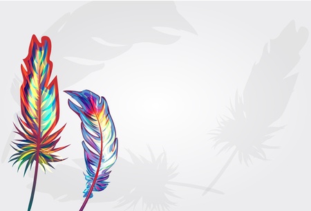 Vector background with parrot multicolor featherのイラスト素材